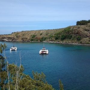 Meet your Posher, Gordon